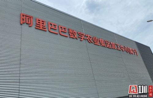 阿里農(nóng)產(chǎn)品產(chǎn)地倉(cāng)亮相 水果 做ct ,數(shù)字化分選精確到毫米